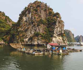 Glimpses Of Vietnam